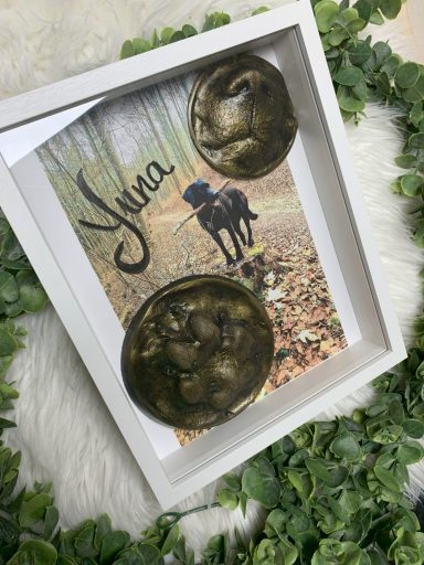 Hundepfote und Schnauze im Rahmen