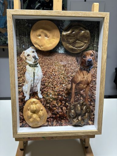 Hundeschnauzen- und Pfoten im Rahmen