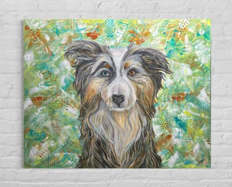 Australian Shepherd