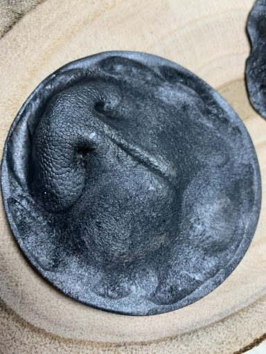 NEU: Detail Hundeschnauze