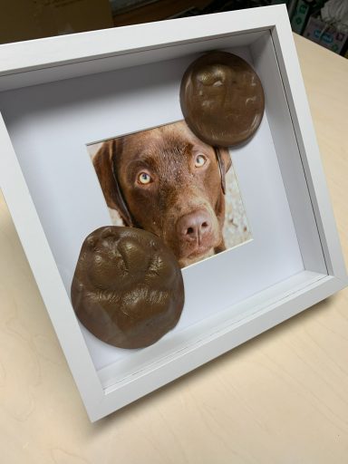 Hundeschnauze- und Pfote im Rahmen